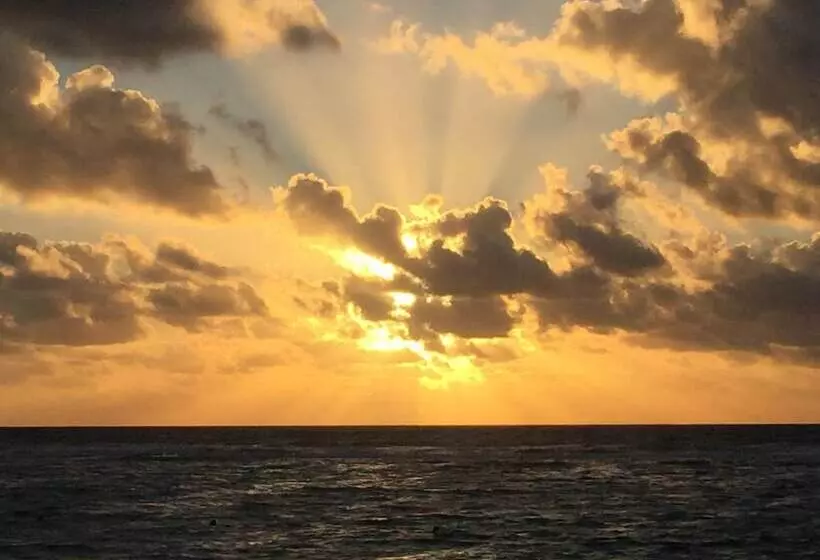 هتل Hammock Heaven