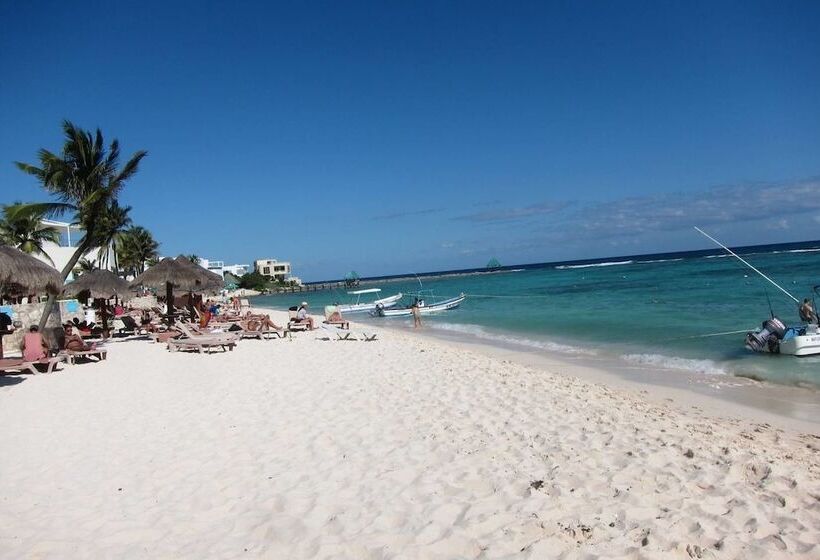 Hotel Hammock Heaven