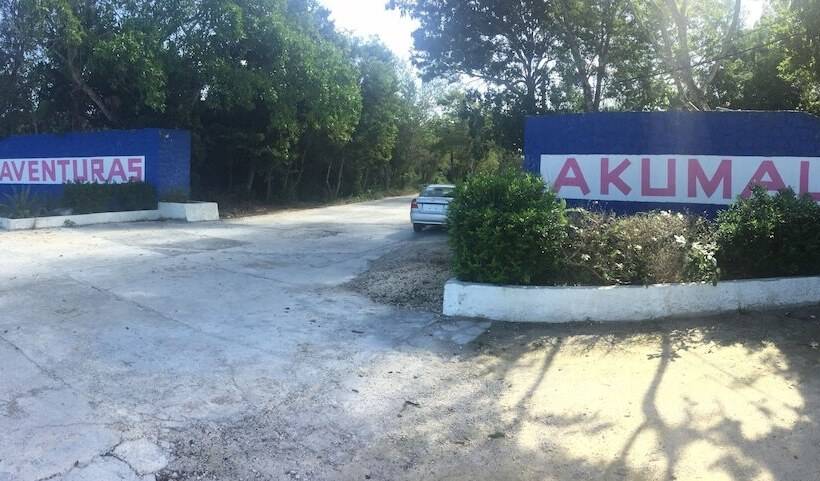 Hotel Hammock Heaven