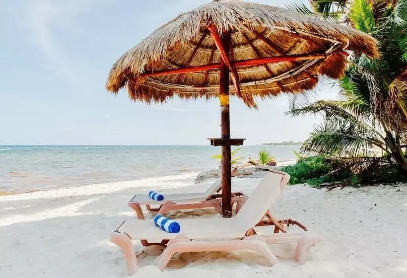 هتل Hammock Heaven