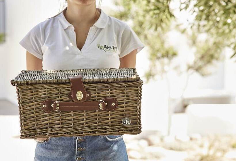 Hotel Iliana Olive Branch