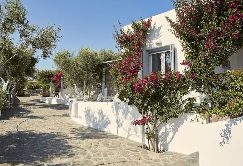 Hotel Iliana Olive Branch