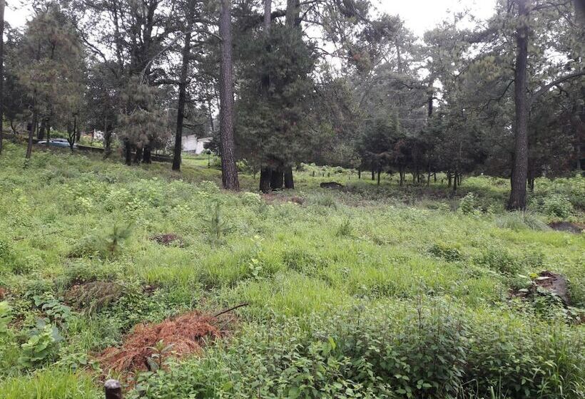 هتل Villa Monteli Suites