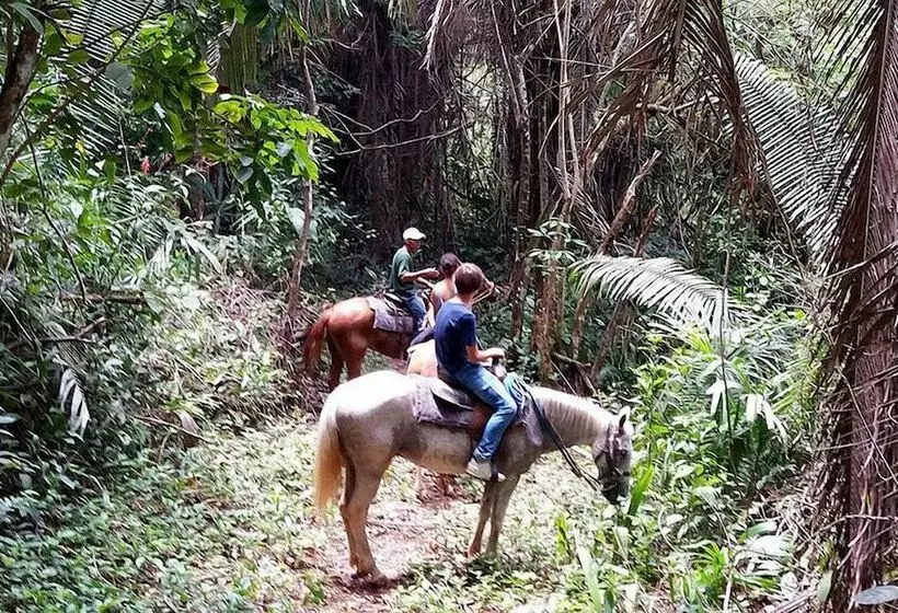 پانسیون Belize Botanic Gardens Cottages And Jungle Guest House