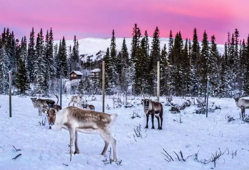 Trillevallen Högfjällshotell
