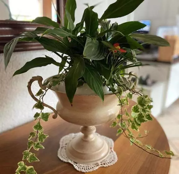 בית מלון כפרי Bett & Frühstück