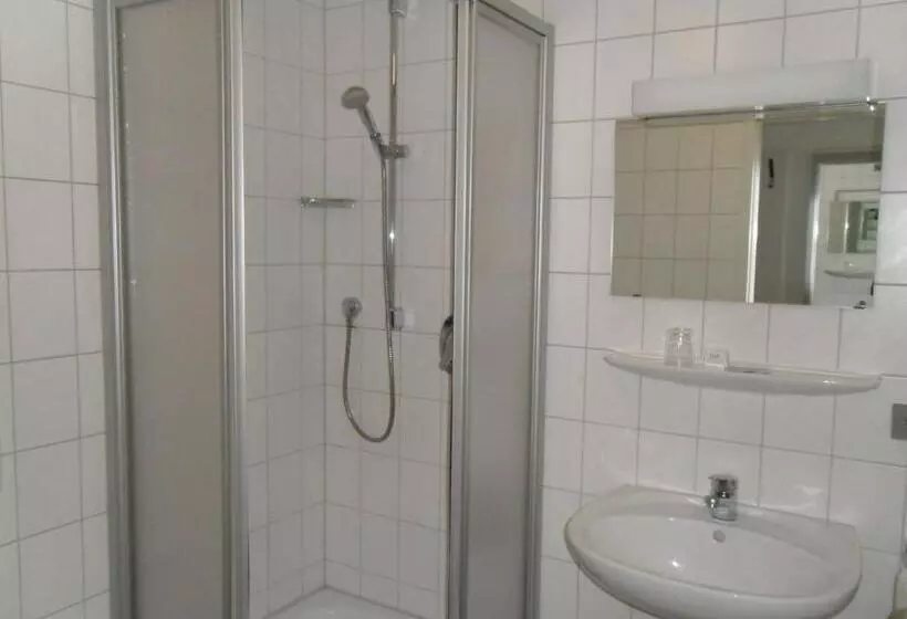 فندق Gasthof Traube