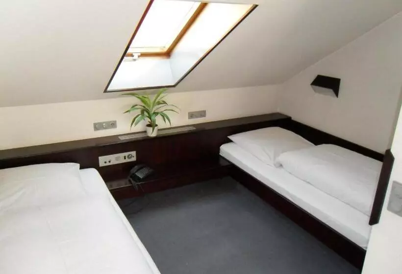 فندق Gasthof Traube