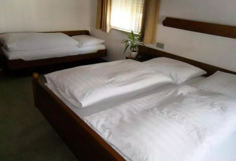 فندق Gasthof Traube