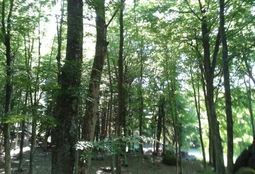 ホテル Italia Abbadia