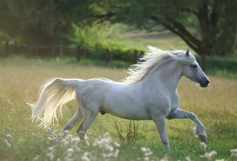 Landhotel Gutsherrn Klause