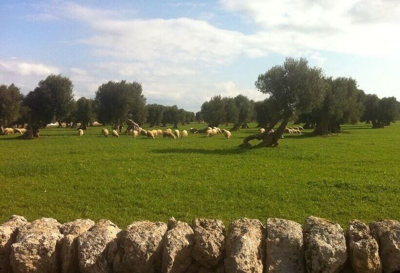 酒店 Masseria Pelosella B&b