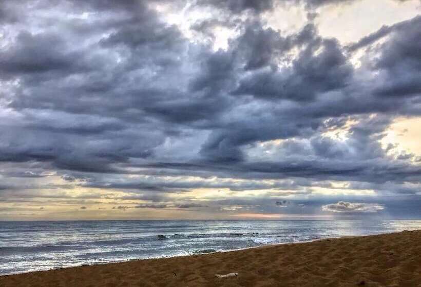 酒店 Masseria Pelosella B&b