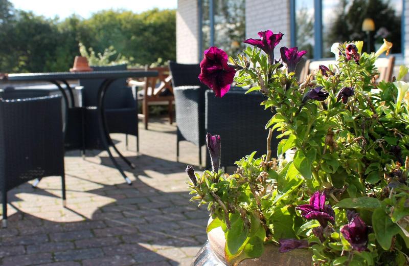 בית מלון כפרי Medio