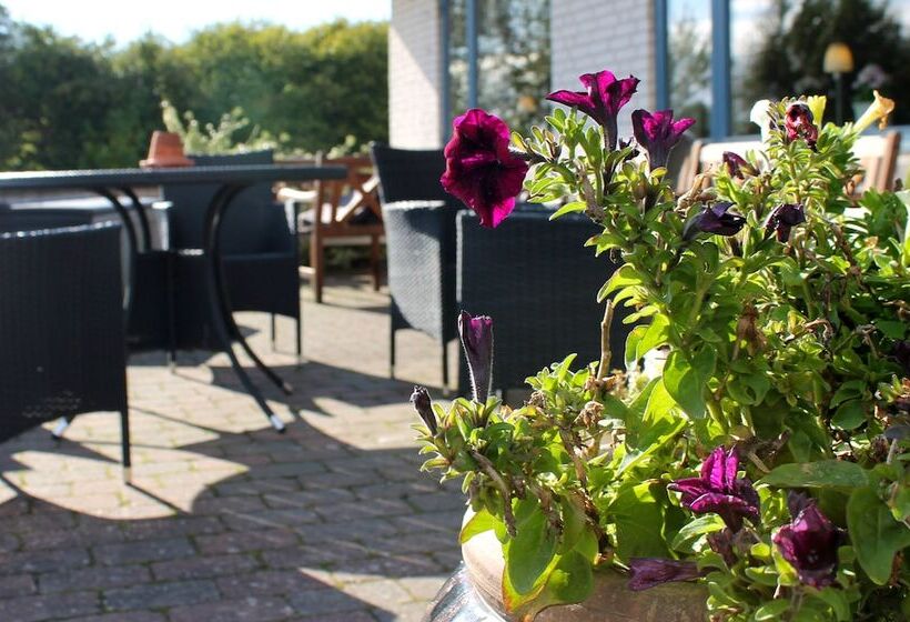 בית מלון כפרי Medio