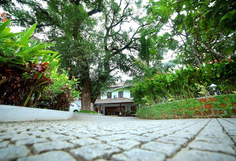 בית מלון כפרי Old Lighthouse Bristow