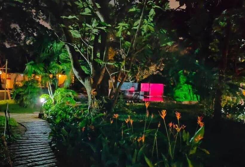 בית מלון כפרי Old Lighthouse Bristow