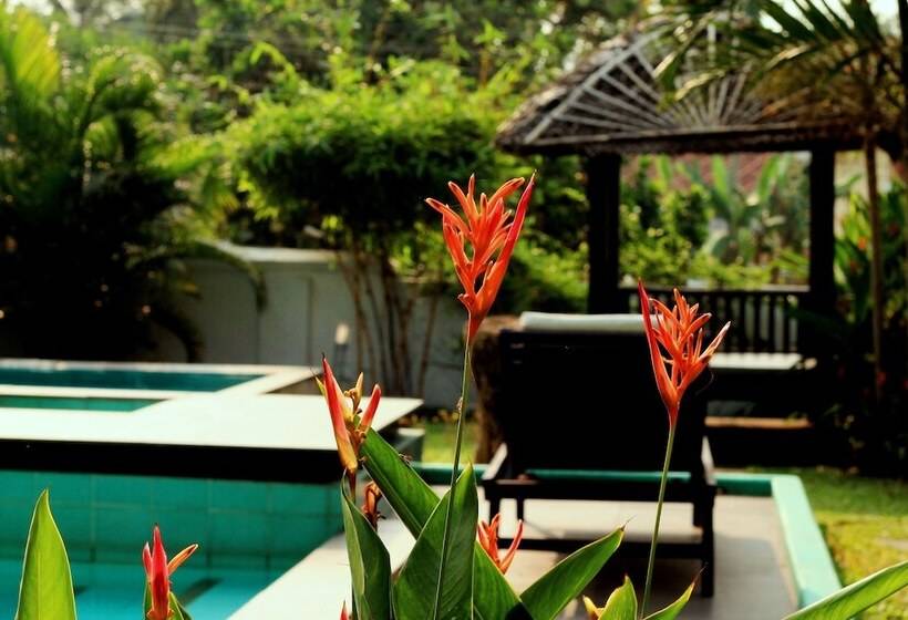 בית מלון כפרי Old Lighthouse Bristow