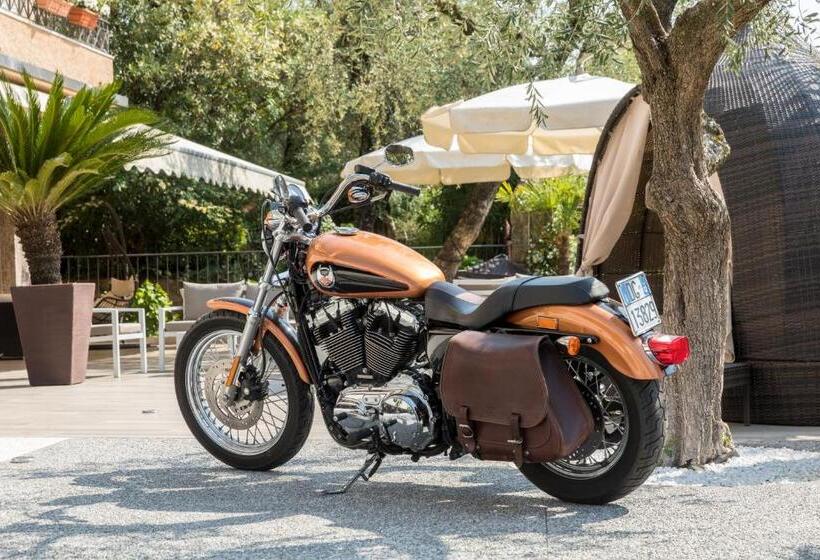 בית מלון כפרי Pace