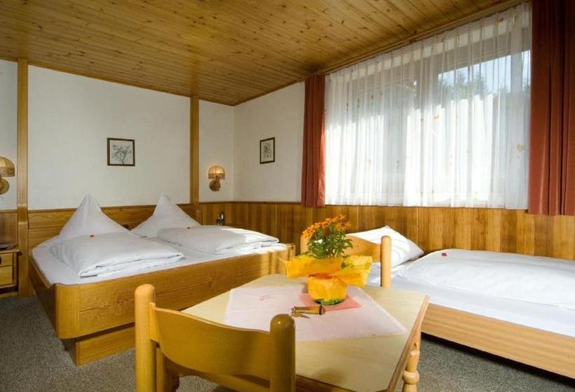 Hotel Panorama / Cafe Wimmer