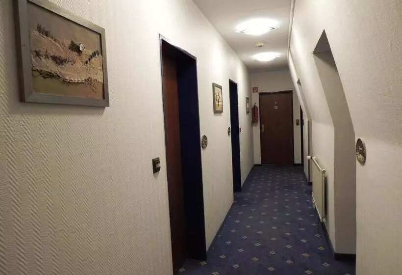 Отель Prinz Heinrich