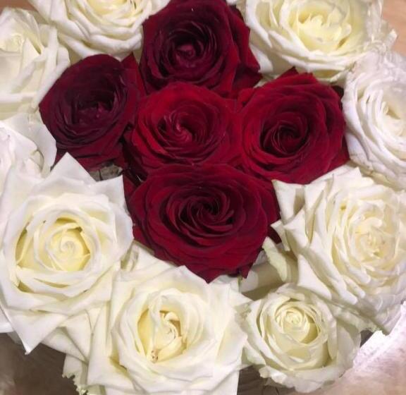 בית מלון כפרי Restaurant Notre Dame