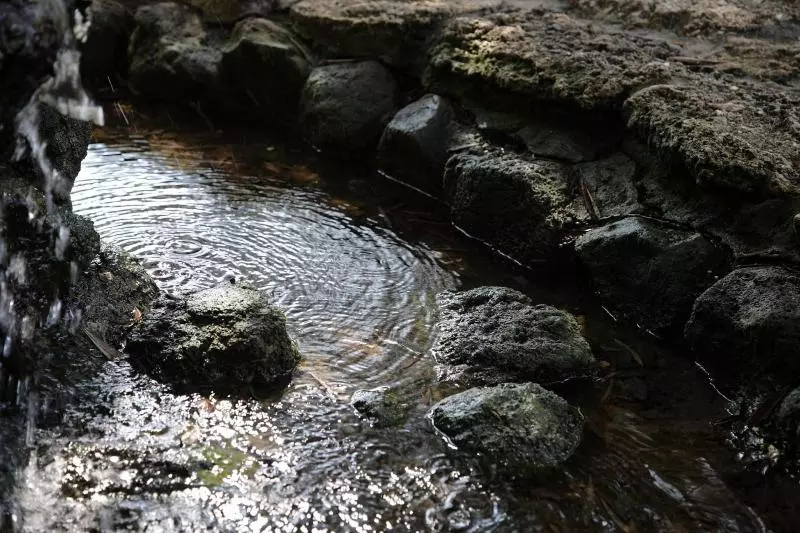هتل Ristorante Sa Pedrera