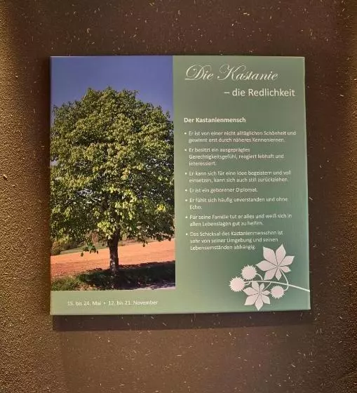 호텔 Zedernhof Gesundheits & Wellness