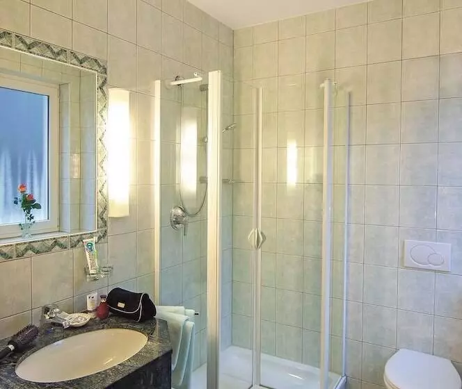 Отель Zum Adler