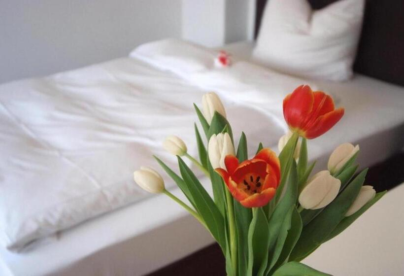 Seeger Living Comfort Downtown