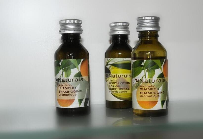 Seeger Living Comfort Downtown