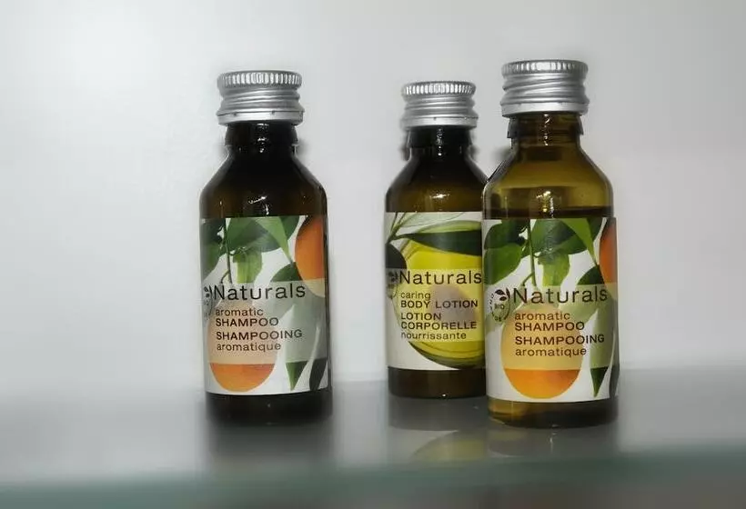 Seeger Living Comfort Downtown