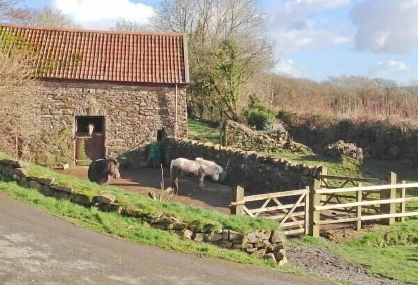 Virvale Barn
