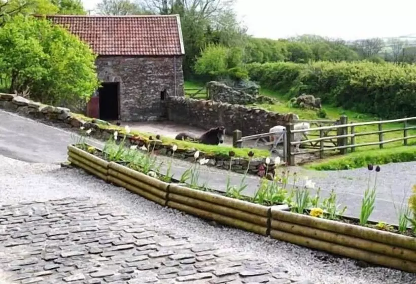 Virvale Barn