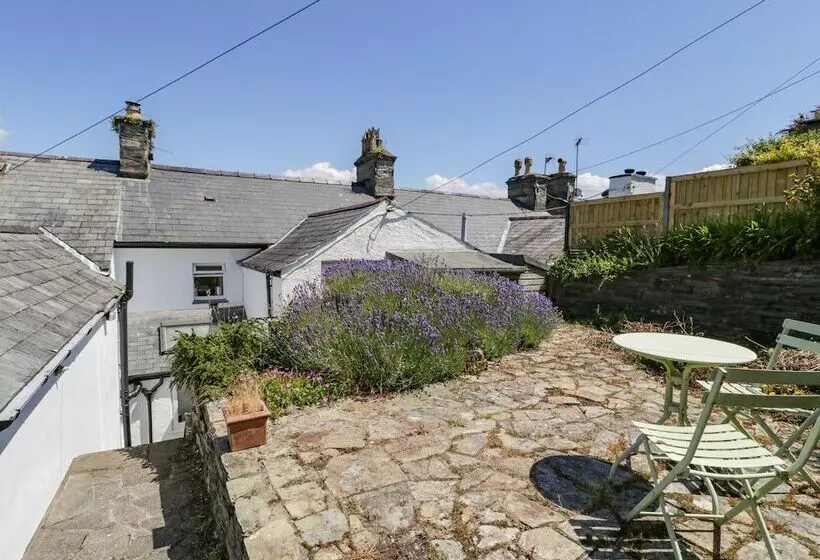 7 Ivy Terrace