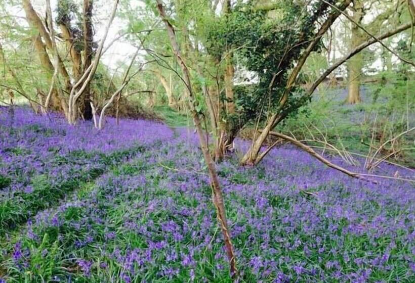 Standard Hill Cottage