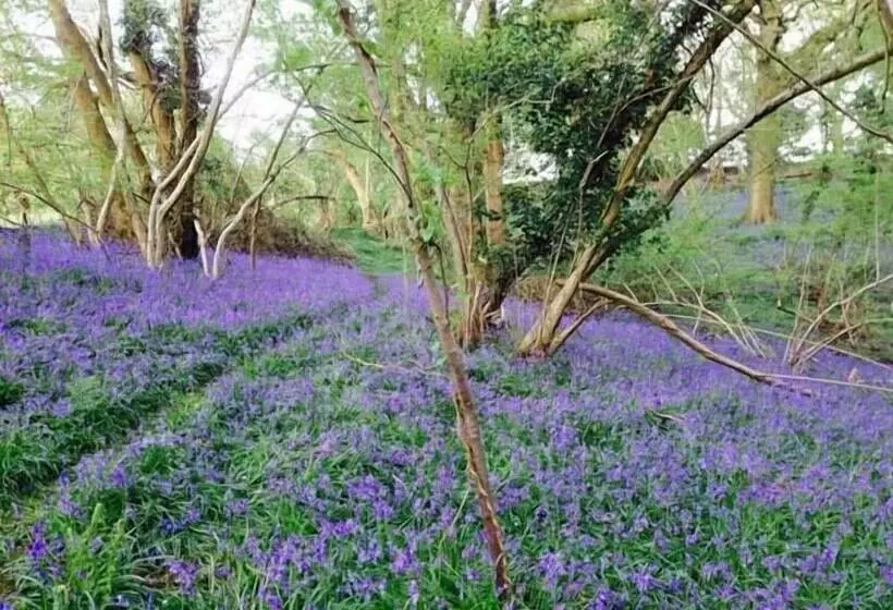 Standard Hill Cottage