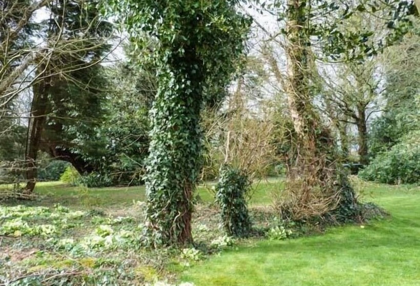 Standard Hill Cottage