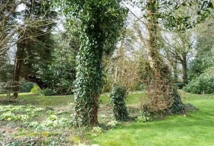 Standard Hill Cottage