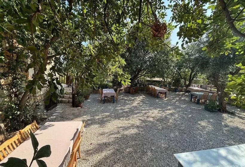 هاستل Telemen In Evi Pansiyon