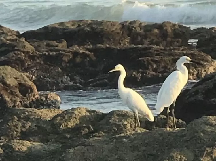 Aamiaismajoitus (B&B) Casa Del Mar