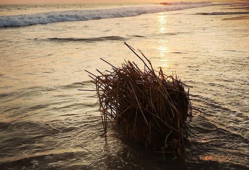 Bed and Breakfast Casa Del Mar