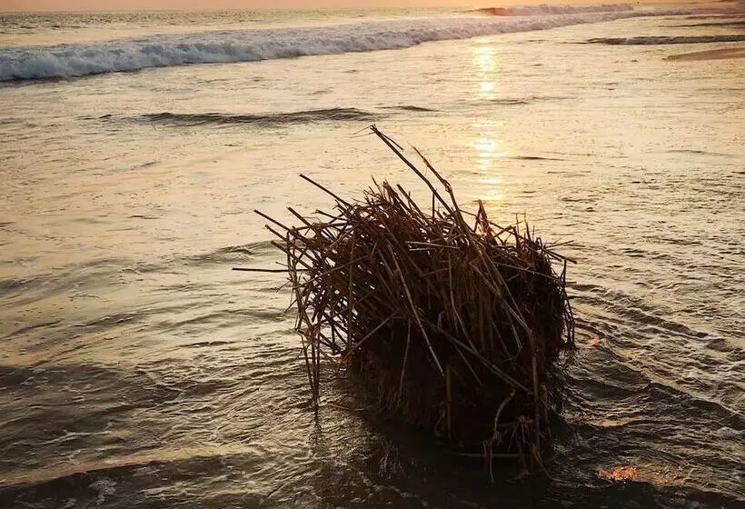 Aamiaismajoitus (B&B) Casa Del Mar