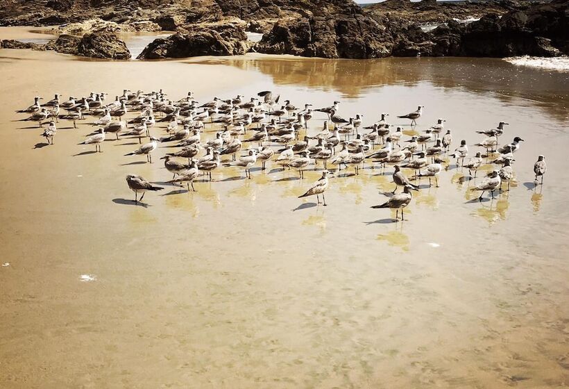 Bed and Breakfast Casa Del Mar