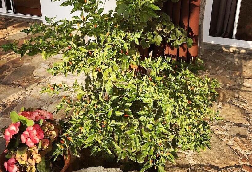 Bed and Breakfast Casa Del Mar