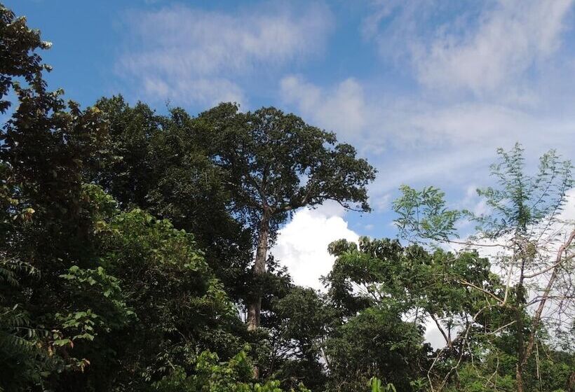 צימר Villa Drake