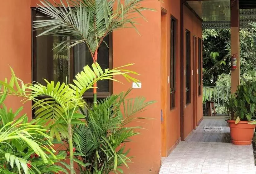 تختخواب و صبحانه Villa Drake