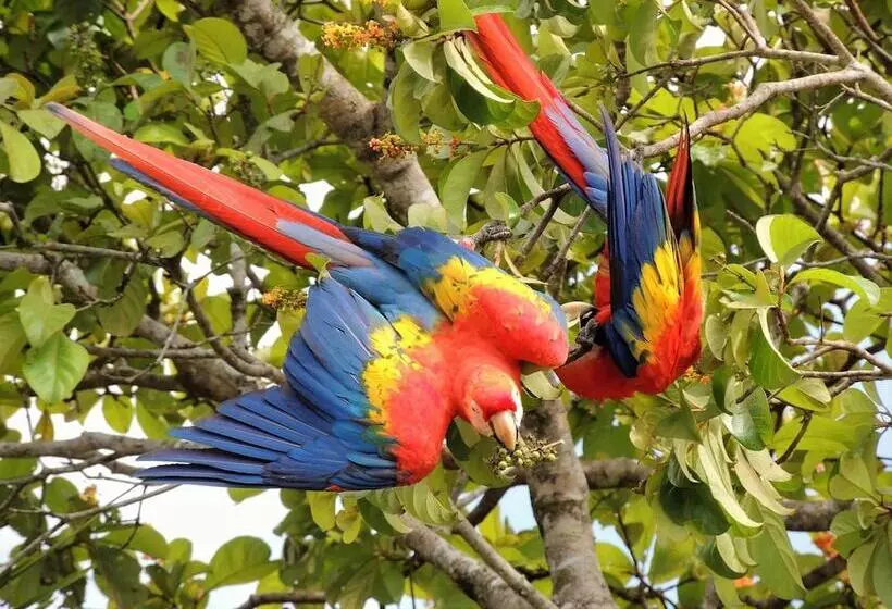 تختخواب و صبحانه Villa Drake