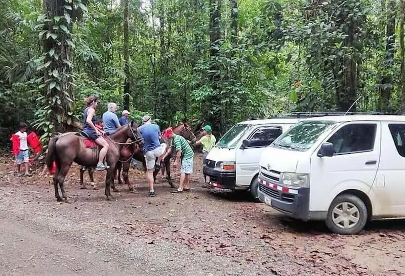 تختخواب و صبحانه Villa Drake