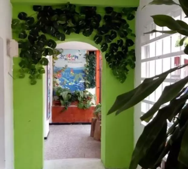 Caribbean Hostel